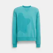 Star Crewneck Sweatshirt
