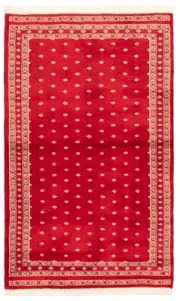 Traditional Hand-knotted Wool Carpet 3'1" x 4'11" Area Rug