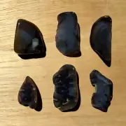 1LB Lot 6 Montana Agate Geode Rock Slices Gray Crystals with Mineral Inclusions