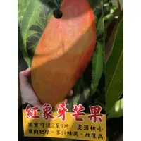 在飛比找蝦皮購物優惠-紅象牙芒果🥭/嫁接果苖/4寸⋯