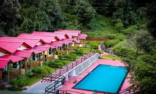 叢林泳池飯店
