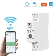Smart WiFi Circuit Breaker Meter, Rated Voltage AC230 Protection Against Overload Lightnin Overcurrent Self-Recovery Sup