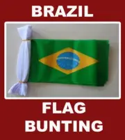 Brazil Flag Bunting 20 Polyester Brasil Brazil Flags