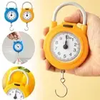 Metal Weight Scale Kitchen Scale Spring Scale With Hook Hanging Scale