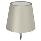 LED Table Lamp Rechargeable 2000mAh RGB & 3 Color Wireless Bottle Lamp (Beige)