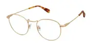 Canali CO313 C02 Men's Glasses Gold Size 50 - Private Health Rebate - Blue Light Block Available