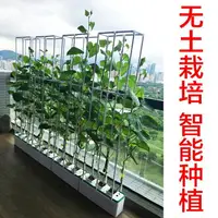 在飛比找樂天市場購物網優惠-熱銷雙十一購物節 陽臺室內種菜花盆機設備神器家庭菜園水培無土