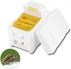 TOMVAES Bee Hive Box Bee Box Single Layer Foam Box Beekeeping Tool Perfect fo...