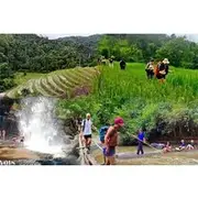 Save 15.00%! One Day Jungle Trek, Hill Tribe and Bamboo Rafting