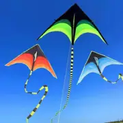 Large Delta Prairie Kites Outdoor Sports Kites Plaid Professional Wind Kites