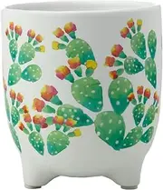 Maxwell & Williams Royal Botanic Gardens Arid Garden Planter Pot 14cm Prickly Pear