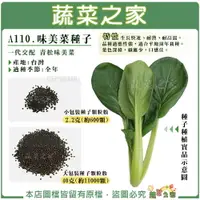 在飛比找樂天市場購物網優惠-【蔬菜之家】A110.味美菜種子 (共2種規格可選) 青松菜