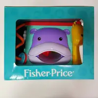 在飛比找蝦皮購物優惠-費雪Fisher-price可愛動物積木盒