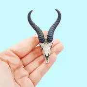 Springbok Skull Replica 1:6 Scale miniature antelope curiosity oddity (1 skull)