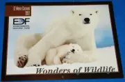 1997 EDF Wonders of Wildlife Calendar Stunning Photos UNUSED
