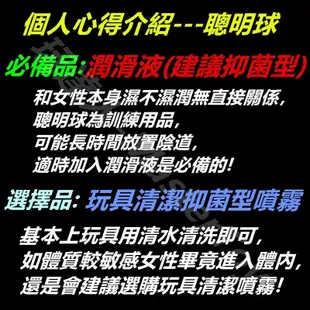 LELO 迷你款 聰明球 按摩球