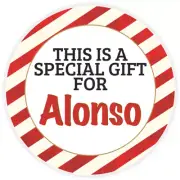 This is a Special Gift for Alonso - 10 Pack Circle Stickers 3 Inch - Christmas