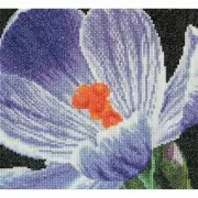 Cross-stitch kit Crocus 487A thea gouverneur Aida
