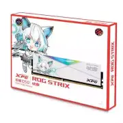Adata XPG D50 DDR4 rgb 3600 32G (16*2) pc ram asus rog strix z790-a gaming