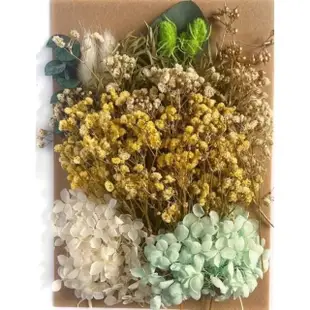 【BJ SHOP】乾燥花 量販包 浮游花 蠟燭 花藝材料包 蠟燭 乾花 居家裝飾(乾燥花 永生花)