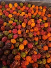Skittles Chamoy Mexican Candy Tajin Chili Pica 4 oz. Serving
