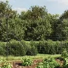 Wire Mesh Fence with Spike Anchors Anthracite 1.8x25 m vidaXL
