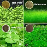 Aquarium Plant Seeds Fish Tank Aquatic Water Grass Foreground Easy Plants 5g
