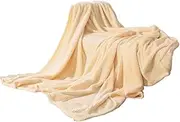 CVBFDB Thick Solid Colored Blanket Coral Velvet Sofa Cover Blanket Air Conditioning Blanket, Nap Blanket(X-Large)