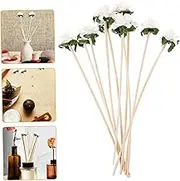 HEALEEP 10Pcs Flower Diffuser Sticks Sticks for Home Decor Wedding Aromatherapy Floral Decoration Flowers for Essential Oil Diffusers