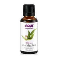 在飛比找PChome24h購物優惠-【NOW】藍膠尤加利精油 Eucalyptus Globul