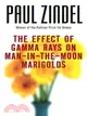 The Effect Of Gamma Rays On Man-in-the-Moon Marigolds