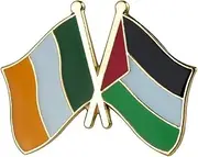 [Pinstant] Ireland Irish Palestine Palestinian National Flag Crossed Flags Friendship Love Alliance Allies 1" Enamel Pin, 1 Inch, Enamel, enamel