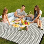 Picnic Blanket Mat Rug Waterproof Sandproof 200X200Cm 2-6 Person Beach Blanket E