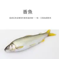 在飛比找Yahoo!奇摩拍賣優惠-【魚仔海鮮】香魚(6尾-8尾) 920g 香魚 台灣香魚 公