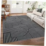 Washable Rug 8x10 Area Rugs for Living Room, Abstract Rug for Bedroom, Soft