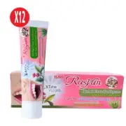 12X Rasyan Herbal Clove Toothpaste With Aloe Vera Guava Leaf 100g
