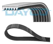 DAYCO 6PK1033 V-Ribbed Belt for AUDI,MAN,MINI,NISSAN,SEAT,SKODA,VW