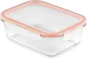 Lock & Lock 70005 Glass Rectangular Container, Clear