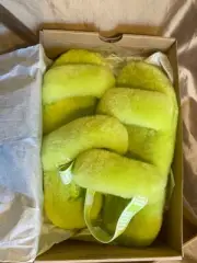 NWT! Ugg Oh Yeah Slide Sheepskin Sandal Slippers Key Lime 1115752K ~Sz. 8