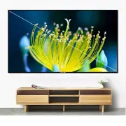 Best-selling 100" 4K Ultra short throw projector fixed frame UST ALR CLR screen