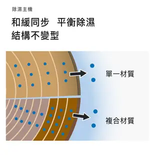 【收藏家】 55公升 可控濕電子防潮箱 原廠5年保固 收藏 精品 防潮 單眼 包包 3C產品 AD-51P 防潮置物