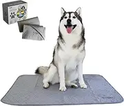 Puppy Pads by Trendy Den - Dog Pee Pads - Puppy Essentials or Pet Supplies Pet Training Pads - 82X97cm 2 Pack Anti-Slip Washable Pee Pads for Dogs - Dog Pads Extra Large - Potty Training