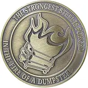 in The Fire of Dumpster Coin, Hilarious Challenging Humor Coin, Commemorative Dumpster Fire Ornament for Graduation, Reward, Parting, Pranks