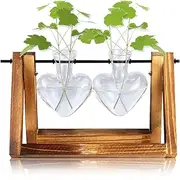 Plant Terrarium with Wooden Stand,Plant Propagation Station with Love Bulb Vase,for Hydroponics (2 Love Bulb)