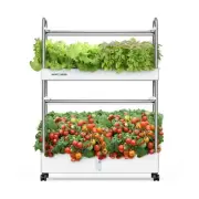 Indoor Garden Hydroponics Growing System, 60 Pods Vertical Herb Garden with L...