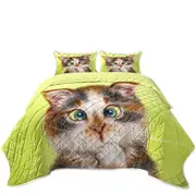 Cats Cute and Funny Faces Sweet Kitten Coverlet