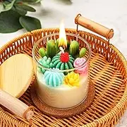 Tondiamo Succulent Candles Gift, 3.15 inch Scented Decorative Candles Terrarium Plant Candles Votive Candles for House Warming Party Favor Wedding Baby Shower Spa Home Gifts (Pastel,Cactus)