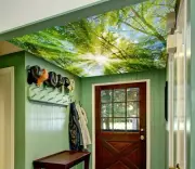 3D Sun Forest A177 Ceiling WallPaper Murals Wall Print Decal Deco AJ WALL Ava