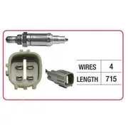 RAE Oxygen Sensor - OX404