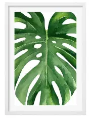 [Profile Australia] Australian Made Monstera Leaf Art Print A3 White Frame